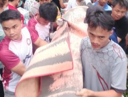 Tragis! Niat Bantu Tarik Kayu, Warga Desa Lawelu Nias Barat Tewas Tertimpa Dahan Pohon