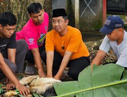 Hari Raya Idul Adha, UPTD Kir Dishub Palembang Potong Dua Ekor Kambing