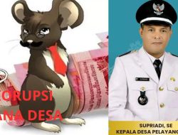 Inspektorat Temukan Penyimpangan DD Pelayang Raya, Kejaksaan Tunggu LHP