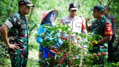 Dandim 0822 Bondowoso Dampingi Pangdam V/Brawijaya dan Kapolda Jatim di Lokasi Panen Raya Kopi Bersama Wapres RI