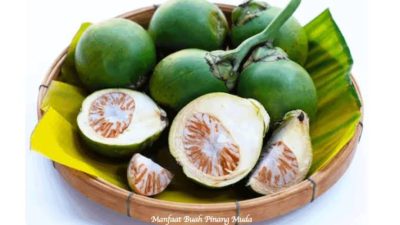 Pinang Muda untuk Kekuatan Pria di Atas Ranjang: Fakta, Manfaat, Mekanisme, dan Cara Konsumsi yang Aman