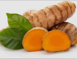 Manfaat Kunyit sebagai Obat Tradisional: Pengobatan Alami untuk Berbagai Penyakit