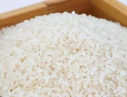 Air Beras, Rahasia Kesehatan dan Kecantikan Alami yang Telah Terbukti Secara Tradisional dan Ilmiah