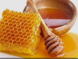 Tujuh Manfaat dan Kegunaan Madu untuk Kesehatan