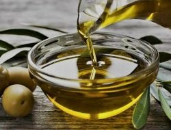 Minyak Zaitun untuk Mengatasi Bengkak Akibat Sengatan Tawon: Panduan Lengkap