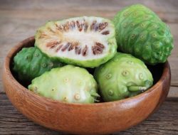 Cara Mengolah Buah Mengkudu untuk Kesehatan: Rahasia Alami yang Banyak Manfaatnya