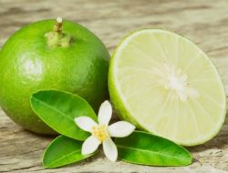 5 Cara Efektif Konsumsi Jeruk Nipis untuk Kulit Cerah dan Sehat