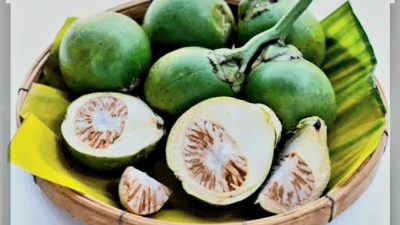 Buah Pinang, Rahasia Kekuatan Pria yang Jarang Diketahui