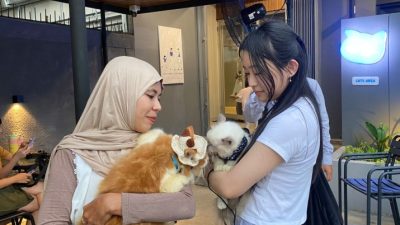 Cat Party Jadi Tempat Nongkrong Baru Bareng Anabul di Pontianak