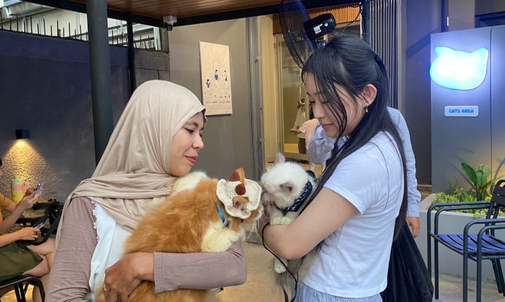 Cat Party Jadi Tempat Nongkrong Baru Bareng Anabul di Pontianak