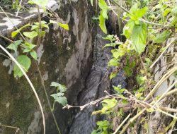 Diduga Asal Jadi, Proyek Siring di Kute Atas Hancur Sebelum Satu Tahun, Warga Soroti Kualitas dan Polome Pengerjaan