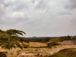 Jatramas Soroti Eks Galian C di Desa Pegongsoran Pemalang Diatas Lahan Perhutani, Begini Kata KTT
