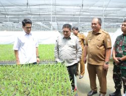 Bupati Asahan Dampingi Plt Dirjen Perkebunan Kementan RI Tinjau Lokasi Cetak Sawah di Desa Silo Bonto