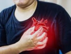 7 Minuman Sehat untuk Penderita Jantung: Pilihan Alami Penjaga Kesehatan Jantung