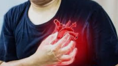 7 Minuman Sehat untuk Penderita Jantung: Pilihan Alami Penjaga Kesehatan Jantung