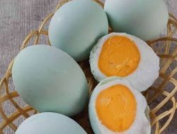 Wajib Kamu Tahu! Khasiat Telur Bebek untuk Kesehatan Tubuh