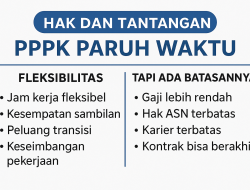Mekanisme Pengadaan PPPK Paruh Waktu: Usulan Instansi hingga Penetapan NIP