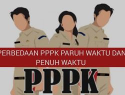 Perbedaan PPPK Paruh Waktu vs Penuh Waktu: Jam Kerja, Gaji, dan Hak ASN