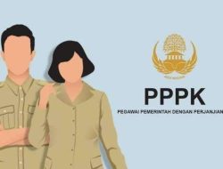 Apakah PPPK Paruh Waktu Solusi Nyata atau Sekadar Wacana?