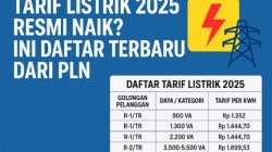 Tarif Listrik 2025 Resmi Naik? Ini Daftar Terbaru dari PLN
