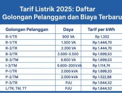 Tarif Listrik 2025: Daftar Golongan Pelanggan dan Biaya Terbaru