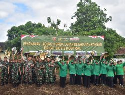 Penanaman Serentak Bibit Jagung Hibrida Program Ketahanan Pangan Brigif 9/DY/2 Kostrad