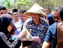 Bupati Pasaman Welly Suhery Pastikan Ketersediaan Pupuk Bersubsidi untuk Petani