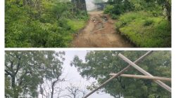 Pabrik Arang Dikeluhkan Warga, Kades Klampokan Situbondo Desak Penutupan