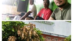 Kelangkaan Pupuk dan Harga Tidak Sesuai HET di Desa Kembangsari Disorot Praktisi Hukum