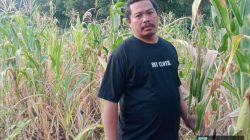 Hutan Lindung Dijarah, Matrosi Teriak Keadilan: Perhutani dan Aparat Dinilai Tutup Mata