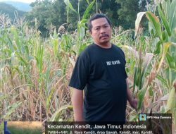 Hutan Lindung Dijarah, Matrosi Teriak Keadilan: Perhutani dan Aparat Dinilai Tutup Mata