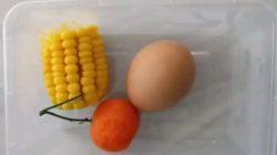 Menu MBG Ramadhan di Bondowoso Disorot, Publik Pertanyakan Kualitas Asupan Penerima Bantuan