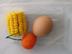 Menu MBG Ramadhan di Bondowoso Disorot, Publik Pertanyakan Kualitas Asupan Penerima Bantuan