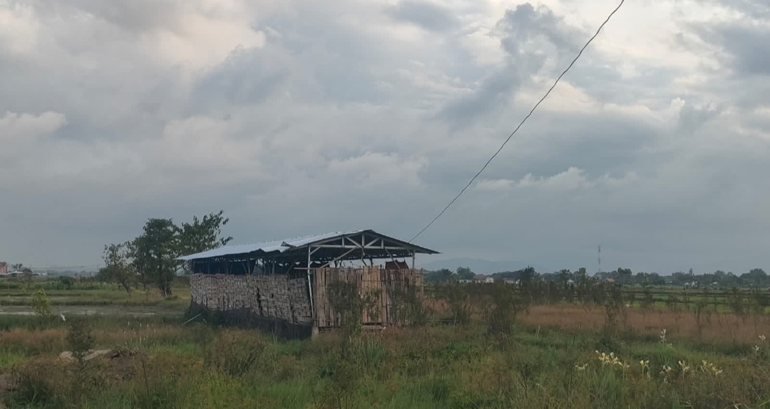 Ternak Mati, Kandang Diduga Tak Layak: Bumdes Tenggir Disorot, Pengelola Bungkam