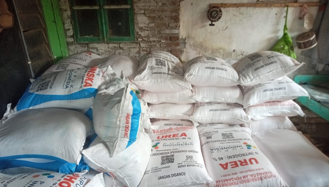 Miris, Dugaan Pupuk Bersubsidi Dijual di Atas HET di Bungatan: Petani Menjerit, Poktan Akui Harga Rp210 Ribu/Kwintal