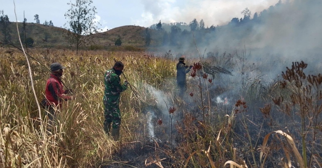 Api Berkobar di Ijen! TNI dan Perhutani Bergerak Cepat Jinakkan Kebakaran di Petak 87
